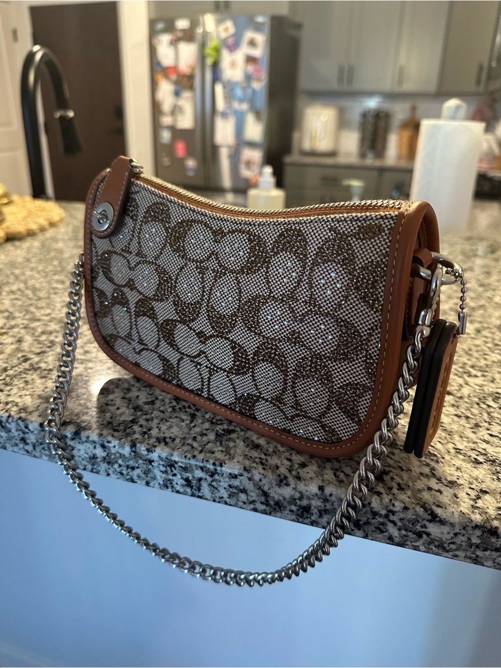 Coach Swinger 20 Bag Crystal Jacquard